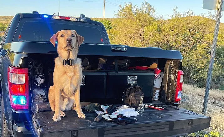 Benny the K9 in back of truck.